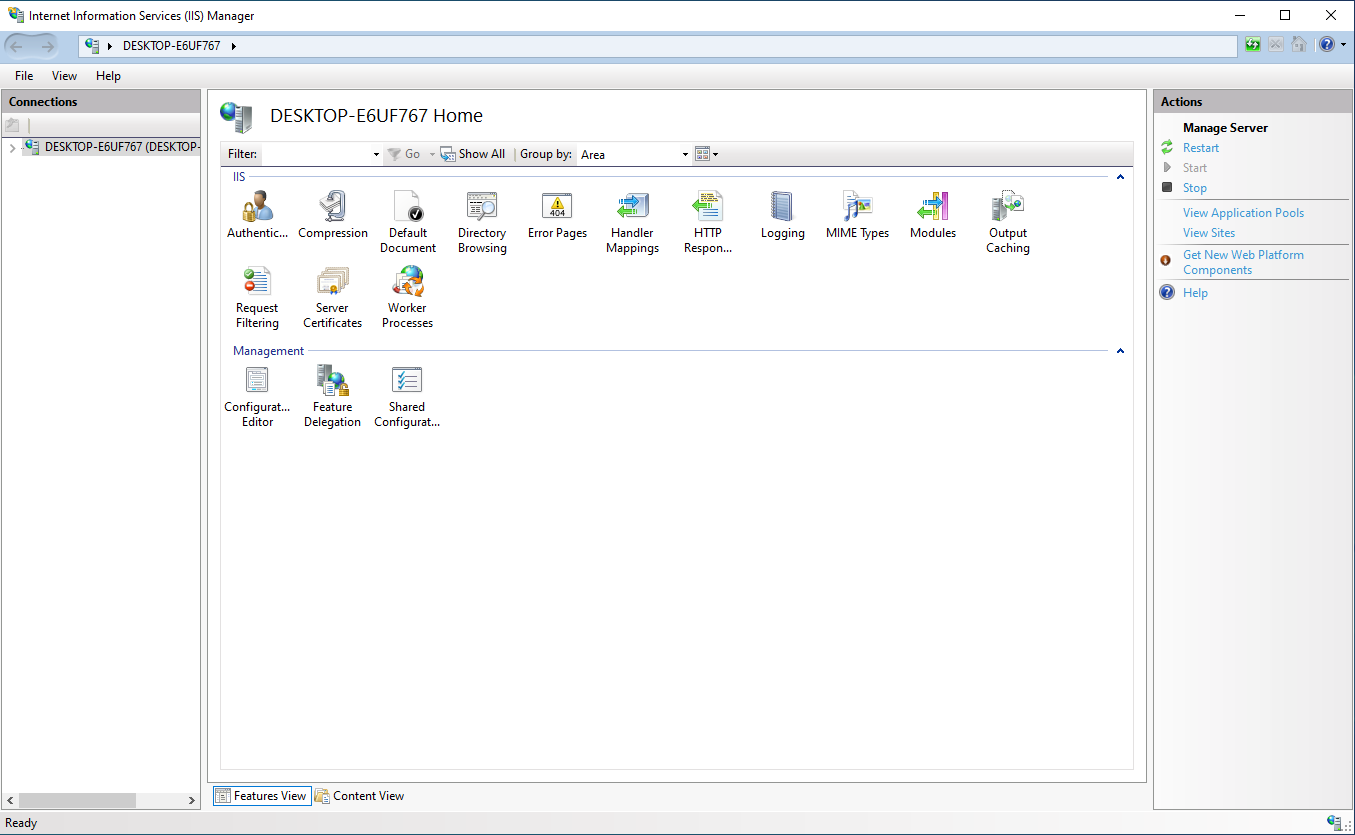 IIS Manager home