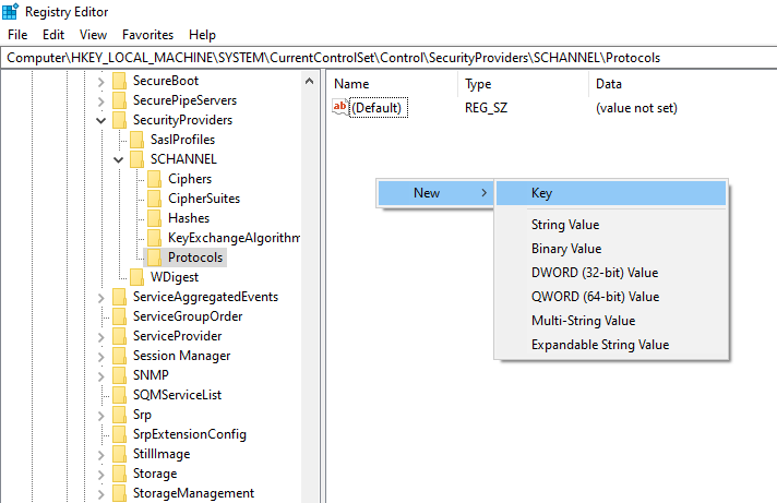 Registry TLS 1.0 key