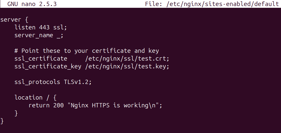 Nginx protocols trimmed